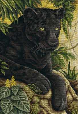 Black Velvet of the Jungle
